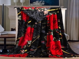 Flange blankets 4